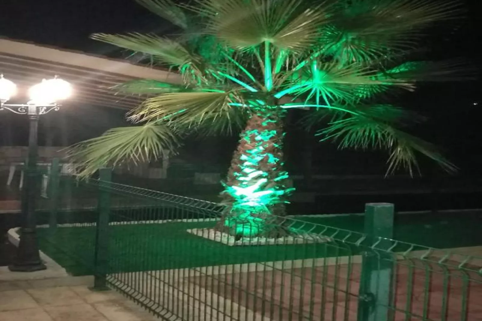 Casa de Lozano y Rueda-Exterior in summer