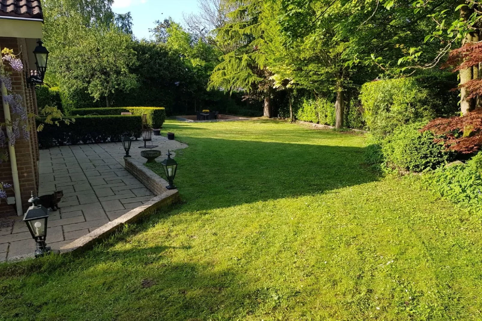 Veluwse Specht-Gardens summer