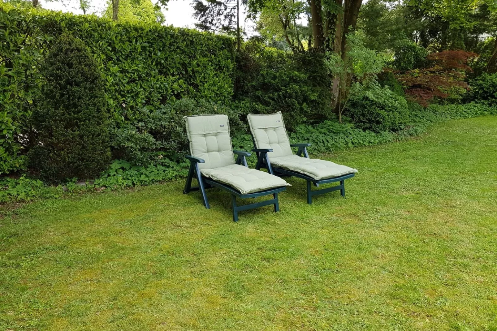 Veluwse Specht-Gardens summer