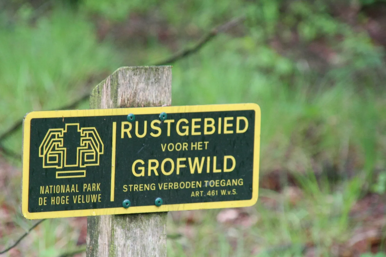 Veluwse Specht-Areas summer 5km