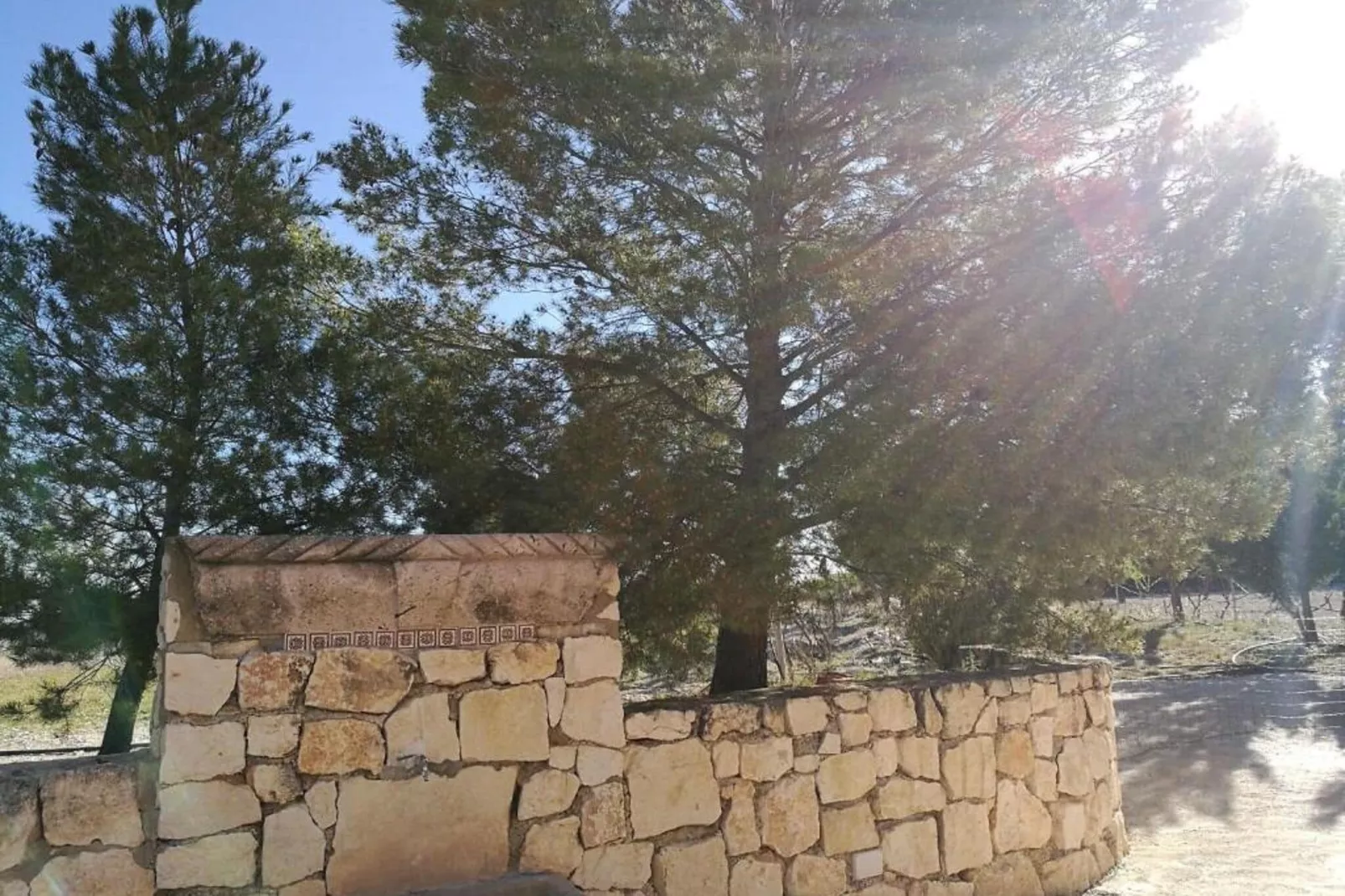 Casa de Lozano y Rueda-Gardens in summer