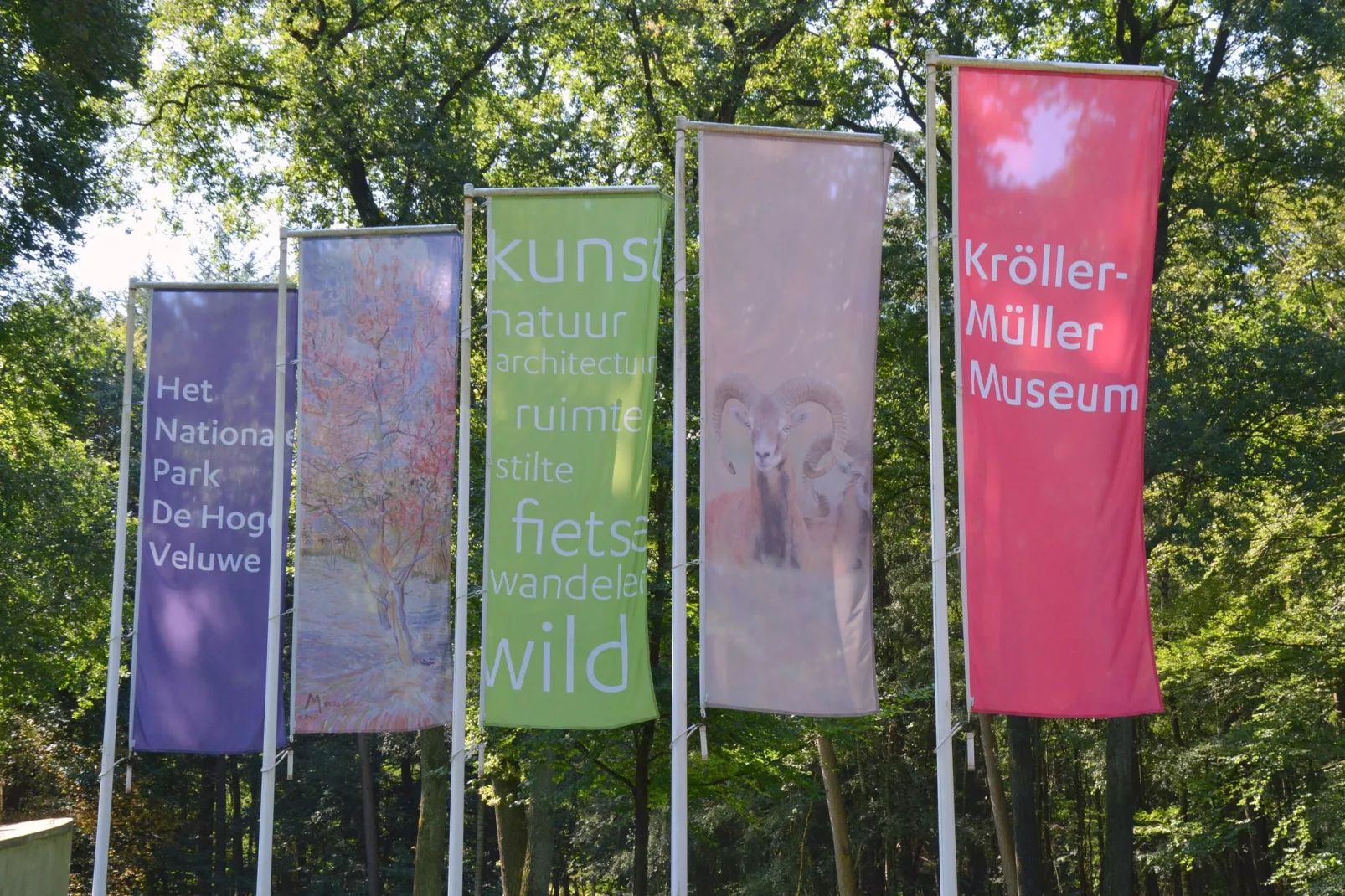 Veluwse Specht-Areas summer 20km