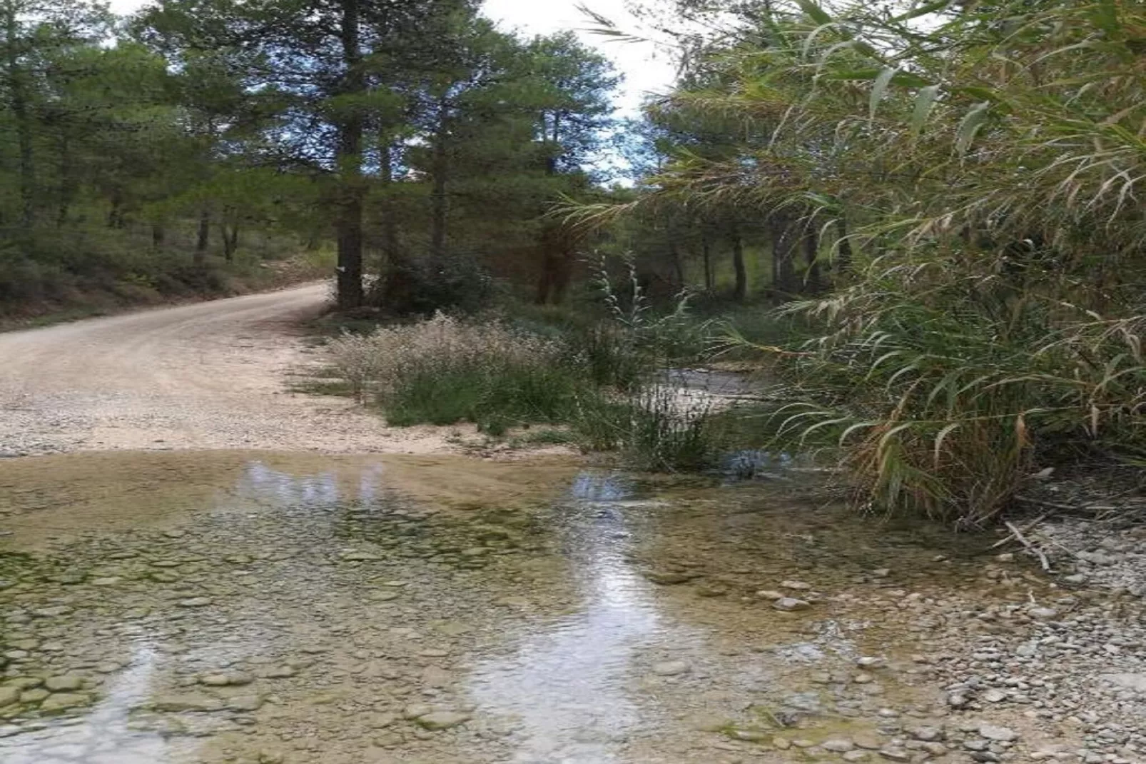 Casa de Lozano y Rueda-Areas within 1km in summer