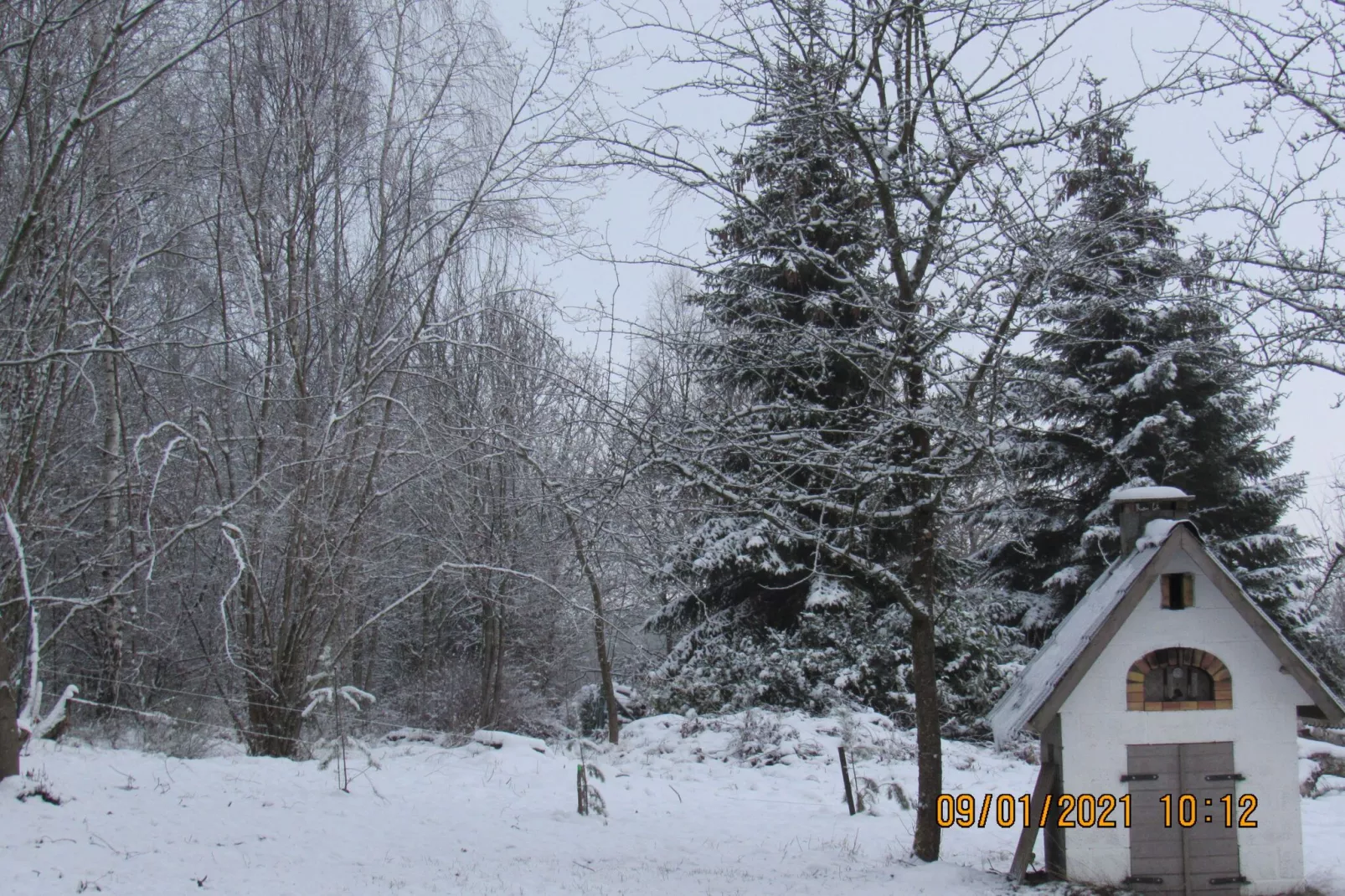 La Forêt-Garten Winter