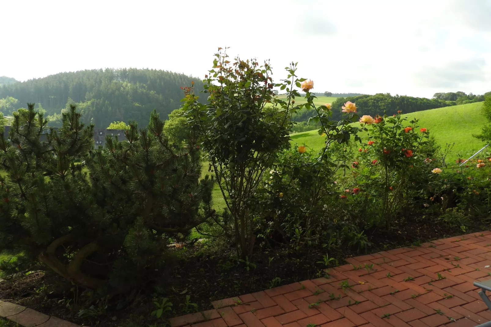 Anna-Aussicht Sommer