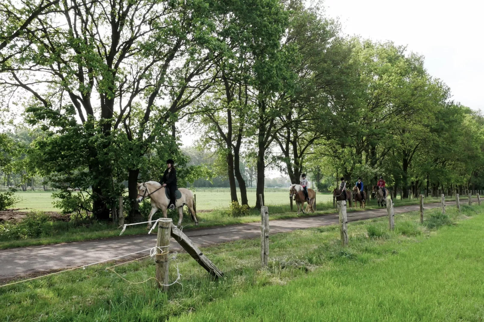 Erve Tank-Areas summer 1km