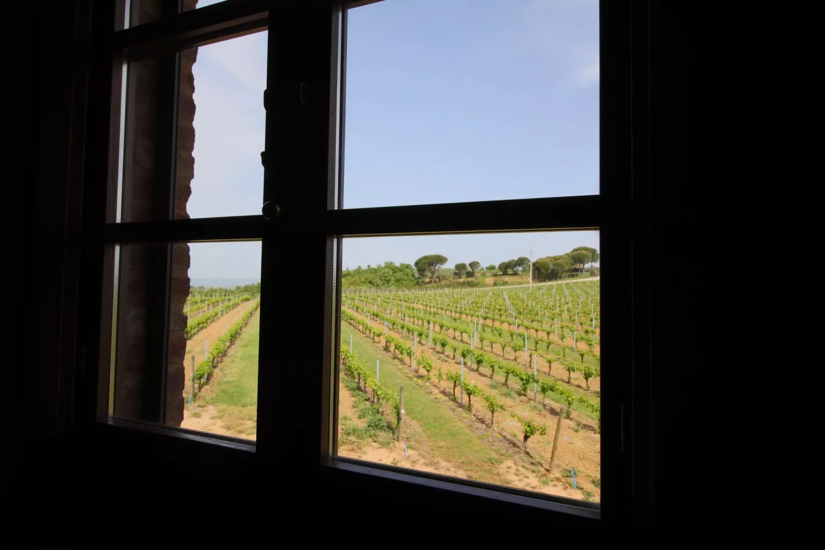 Tulipano-View summer
