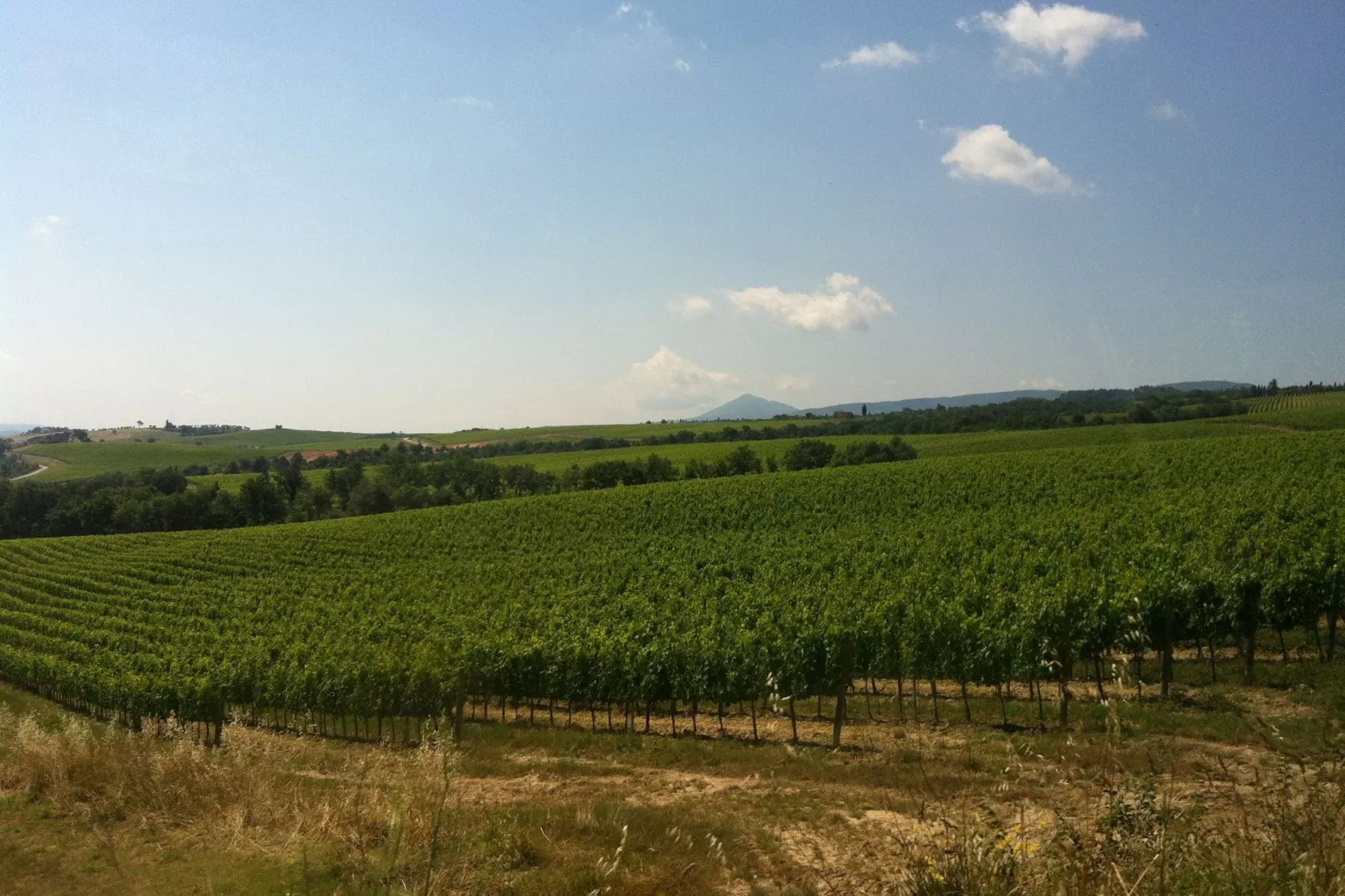 Tulipano-Areas summer 5km