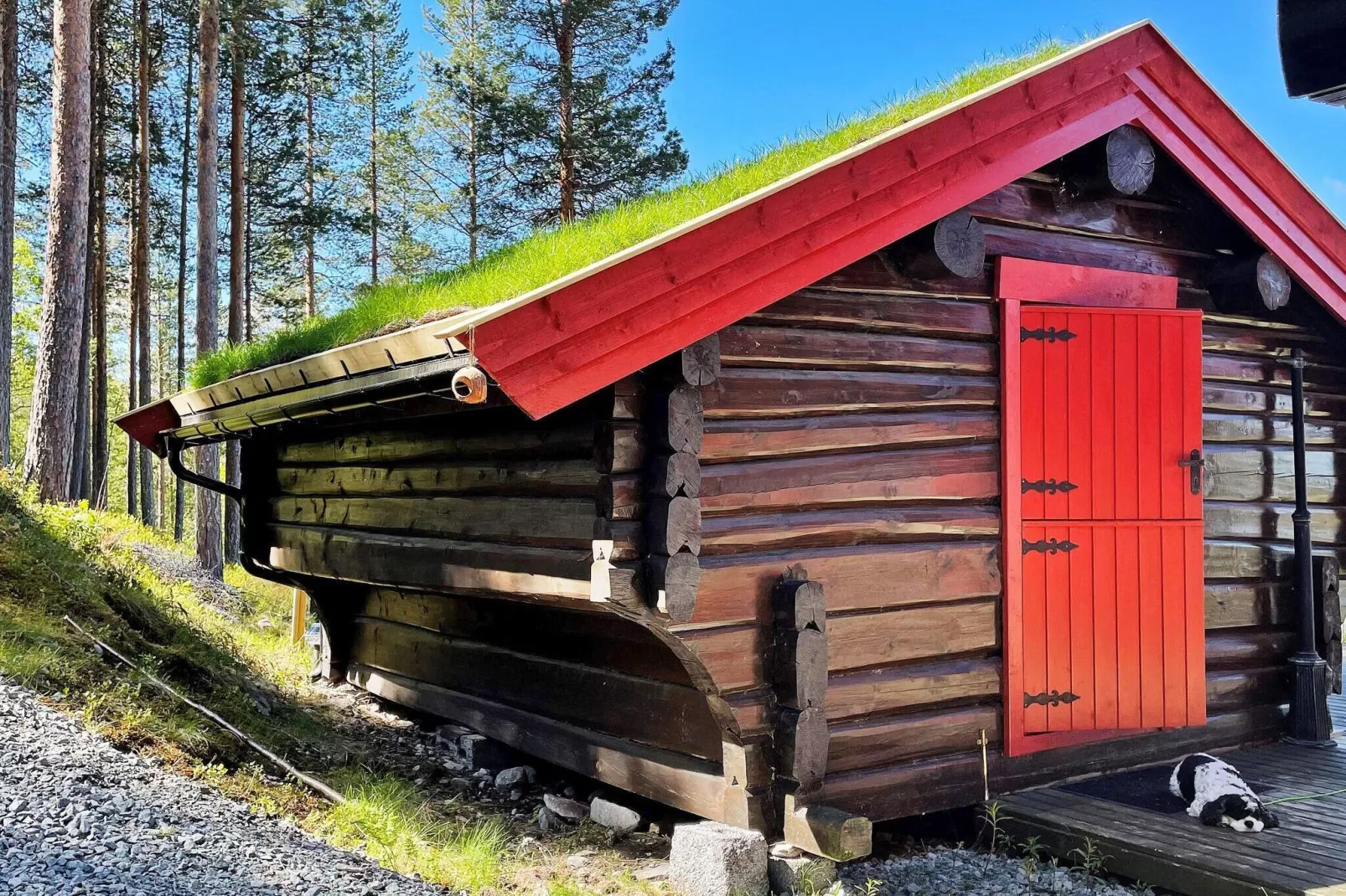 6 person holiday home in RENDALEN-By Traum-Outdoor