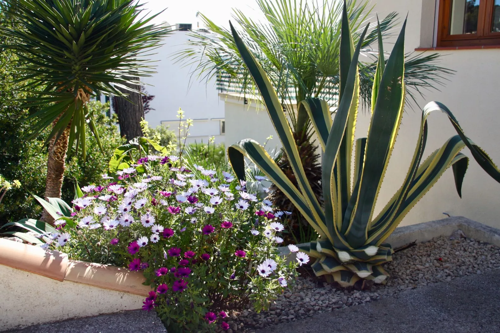 Les Bassetes-Gardens summer