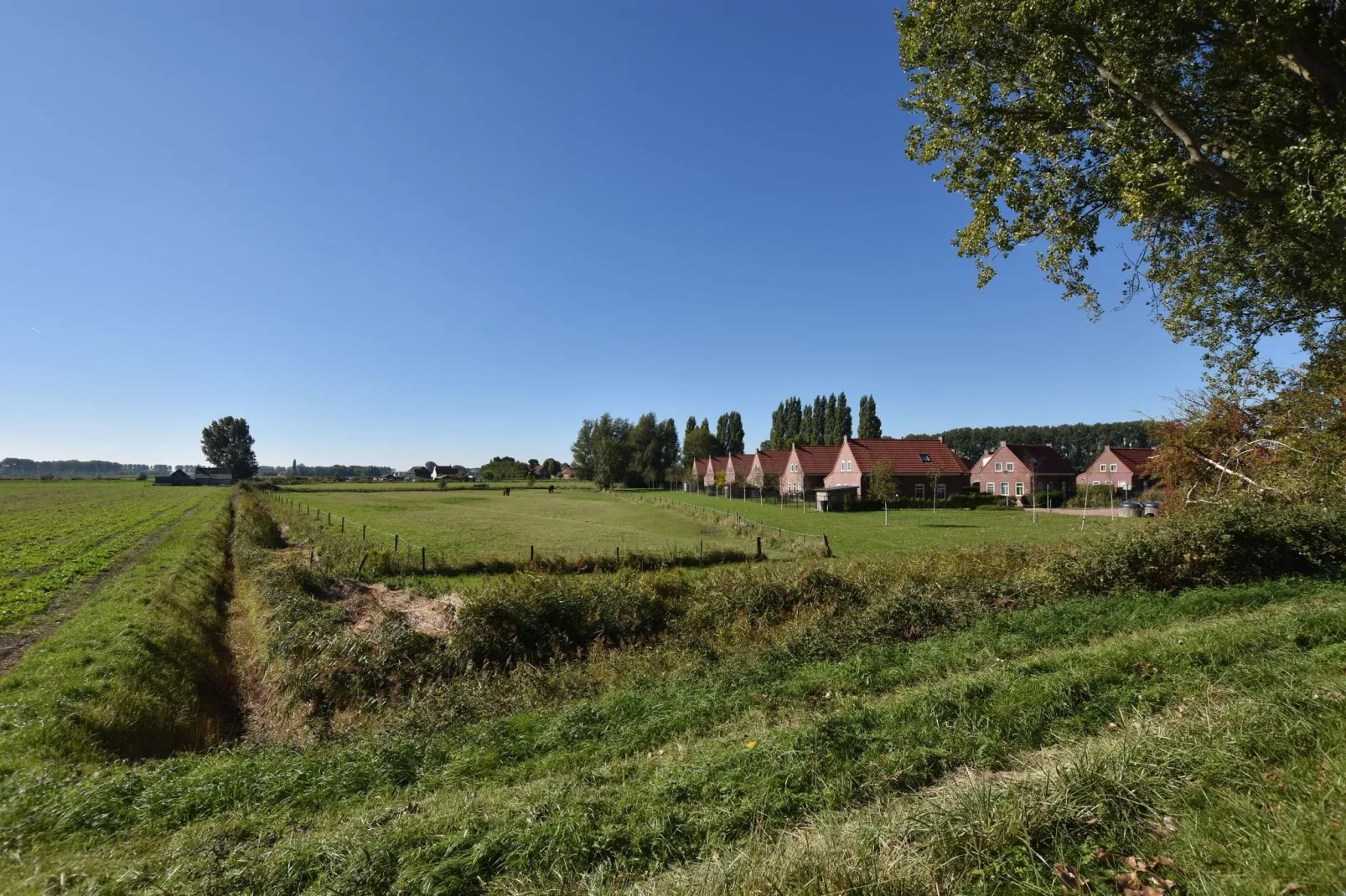 Krokus 10-Areas summer 1km