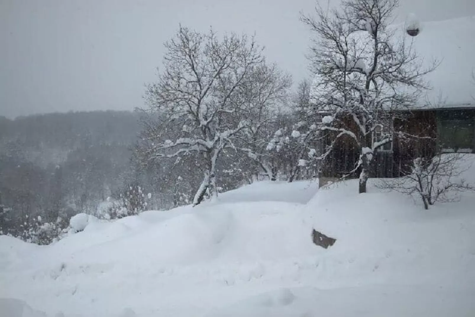 Holiday home Fijan-Garten Winter