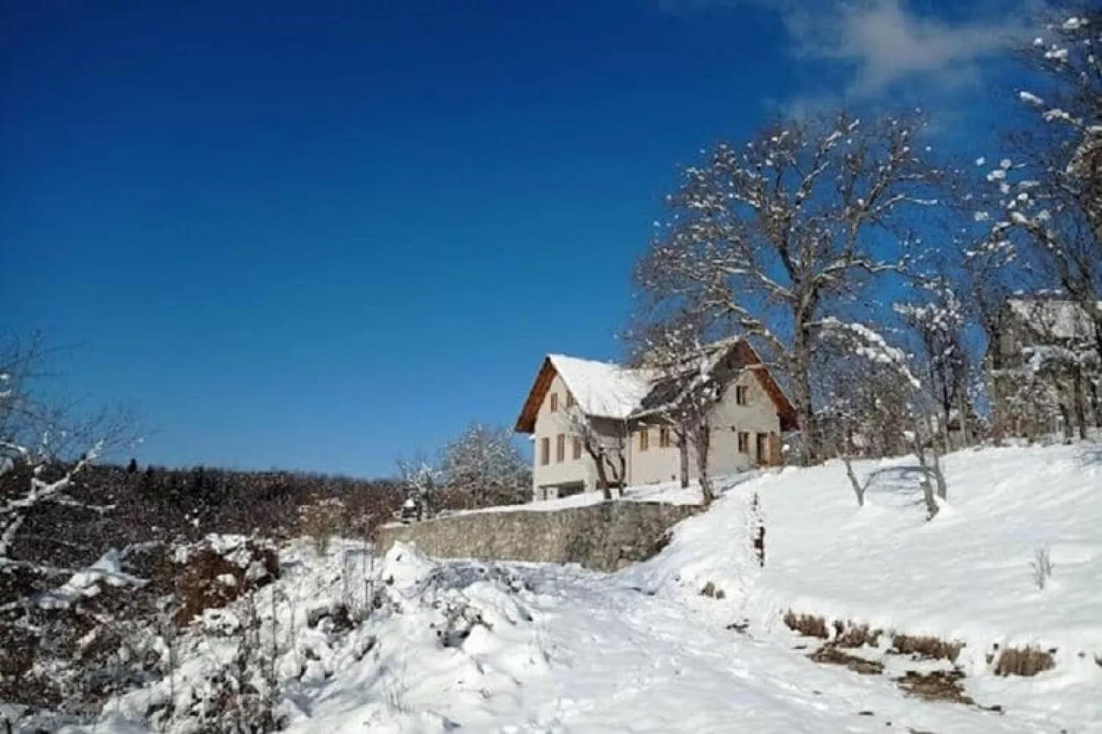 Holiday home Fijan-Garten Winter