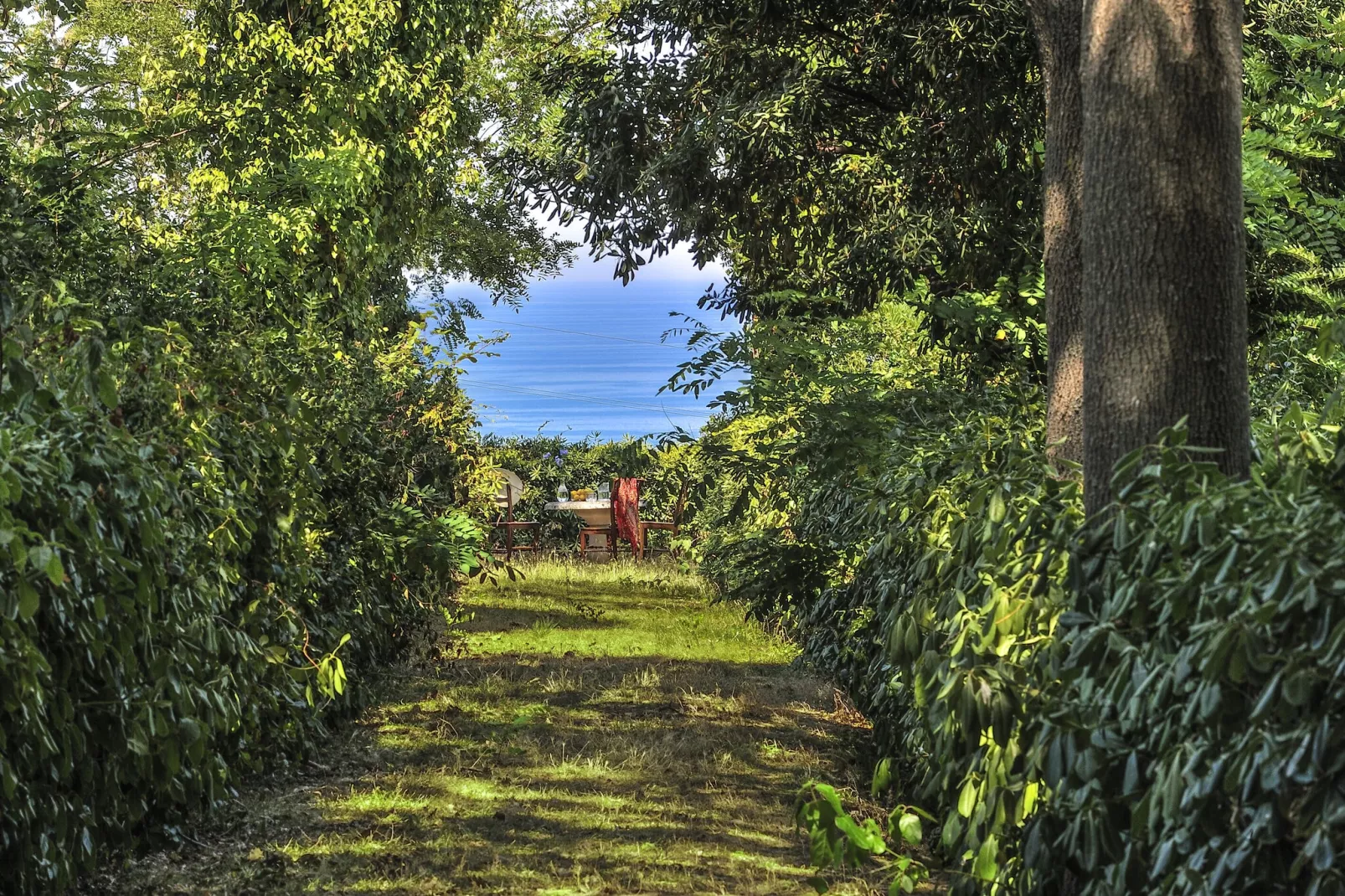 Monti-Gardens summer