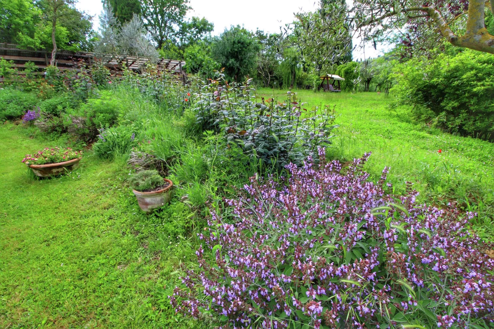 Villa Valardegna-Gardens summer