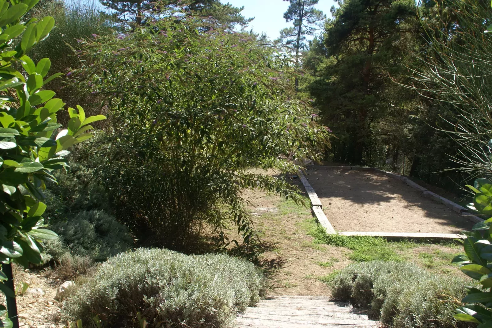 Verdi-Park facilities