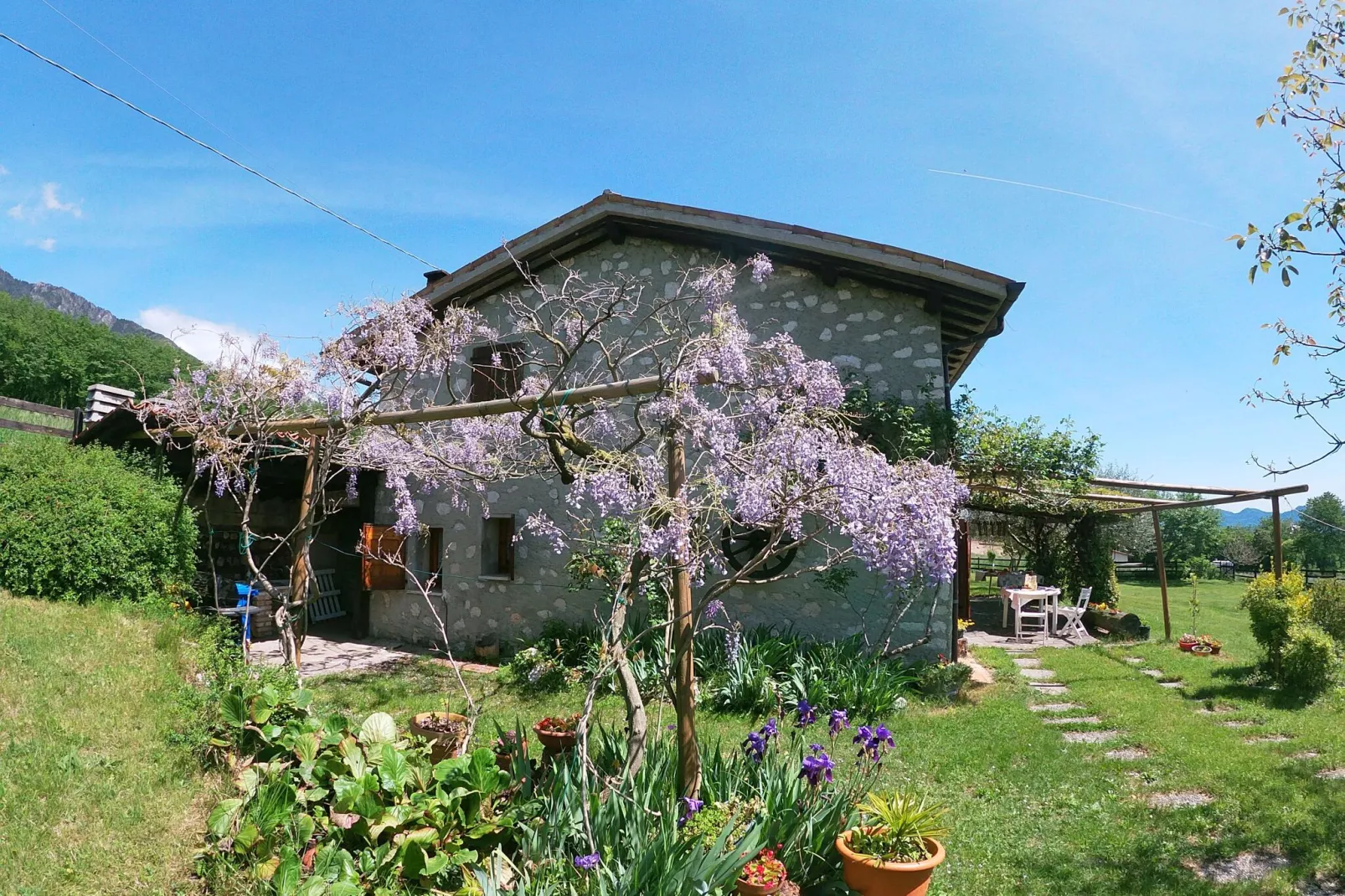 Casa Gherla Uno-Exterior summer
