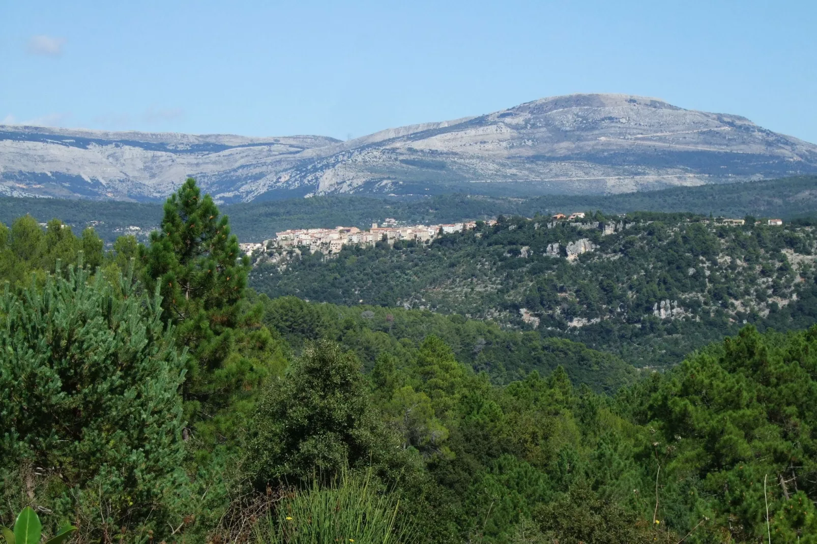Verdi-Areas summer 1km