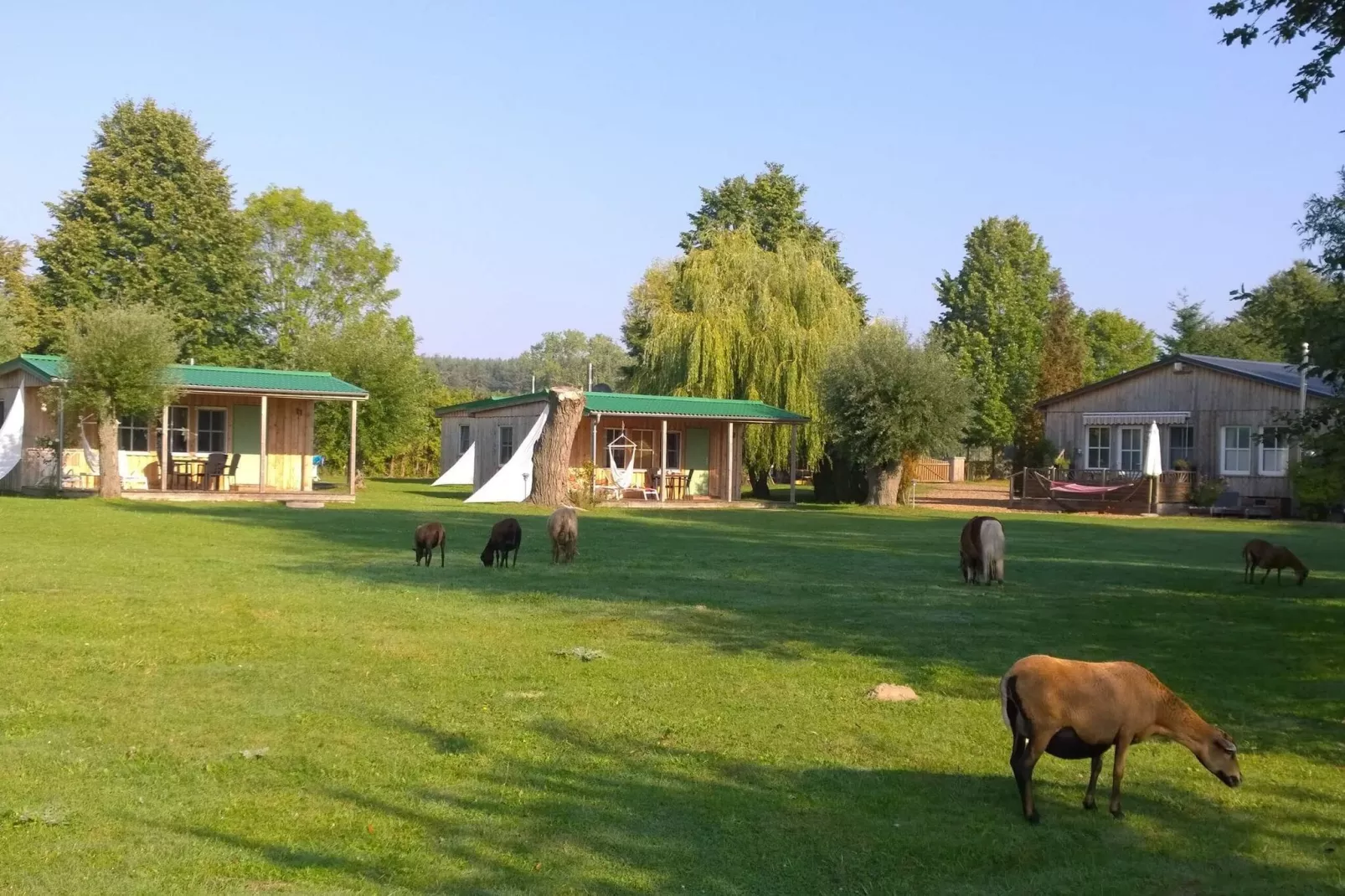 Haus 10 - 3 Personen - Außenbereich Sommer
