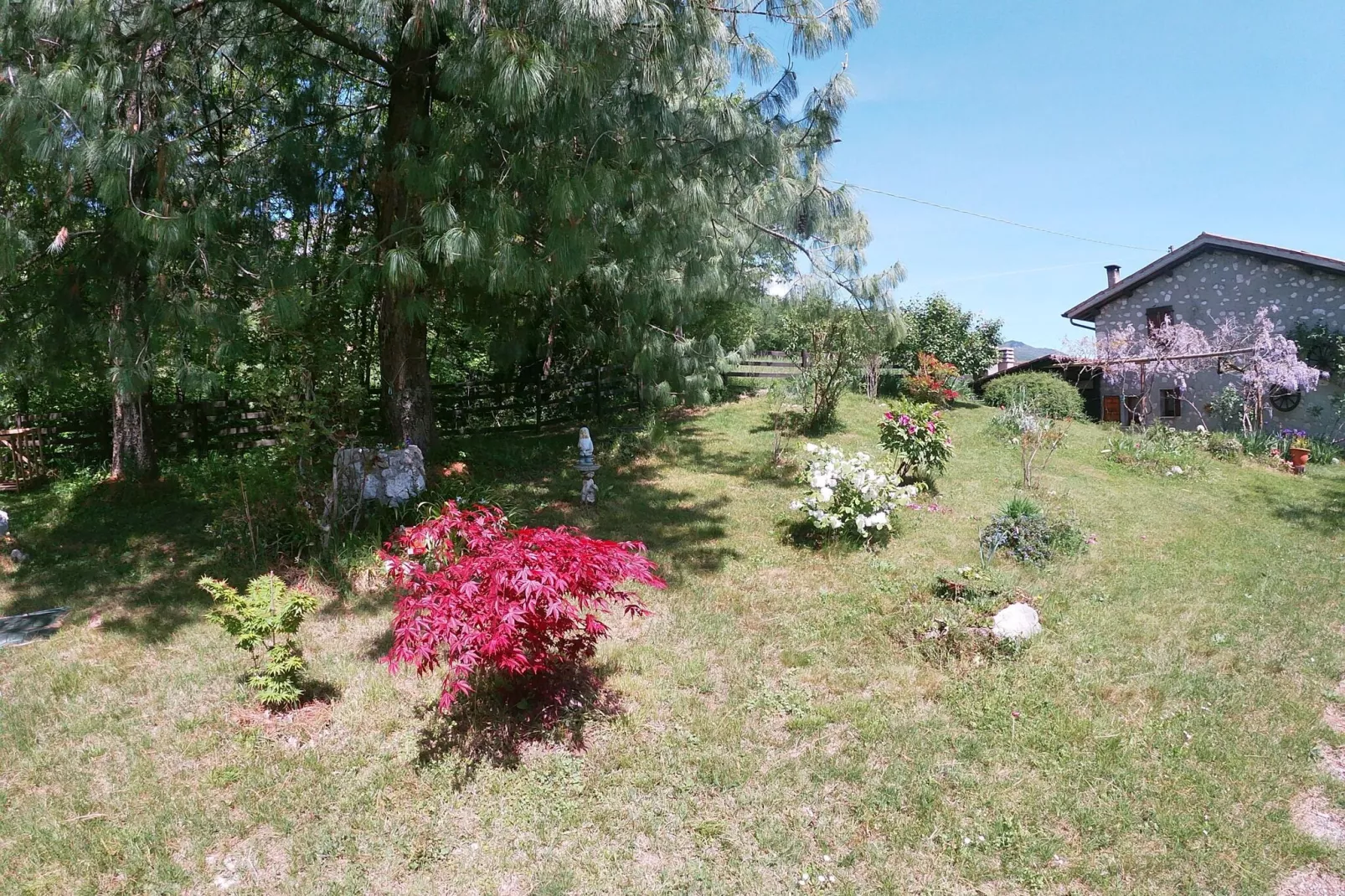 Casa Gherla Uno-Gardens summer