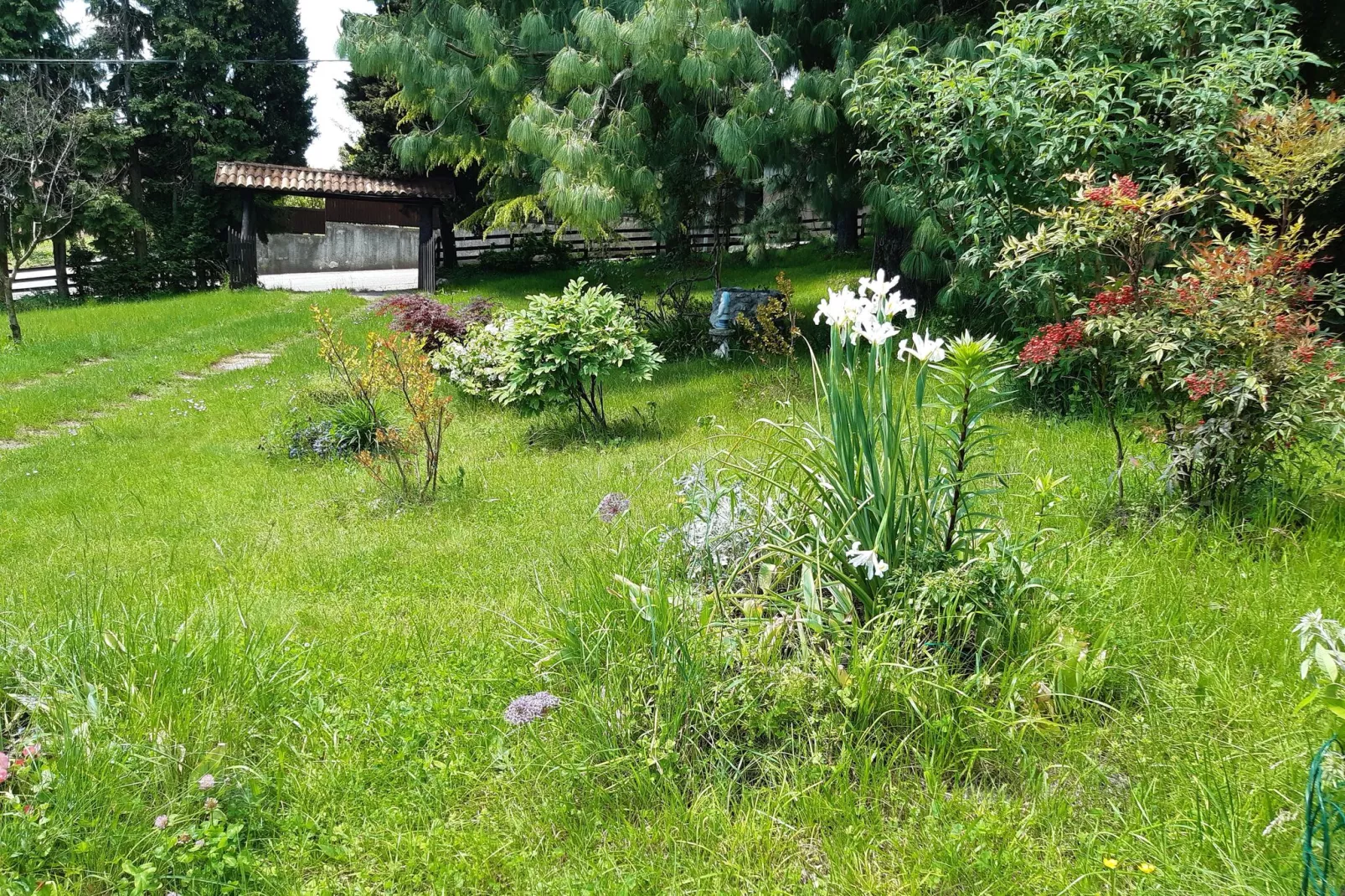 Casa Gherla Uno-Gardens summer