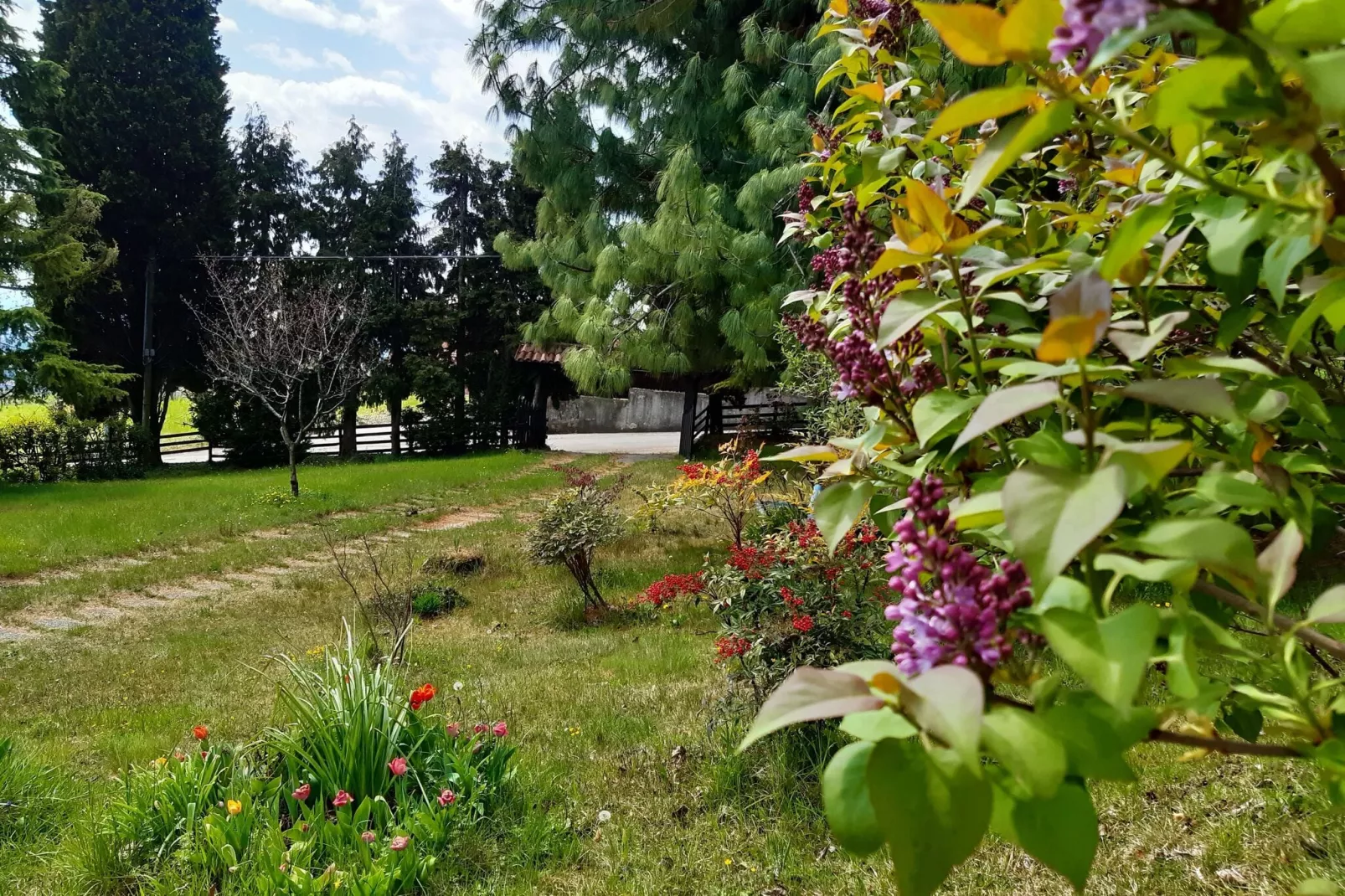 Casa Gherla Uno-Gardens summer