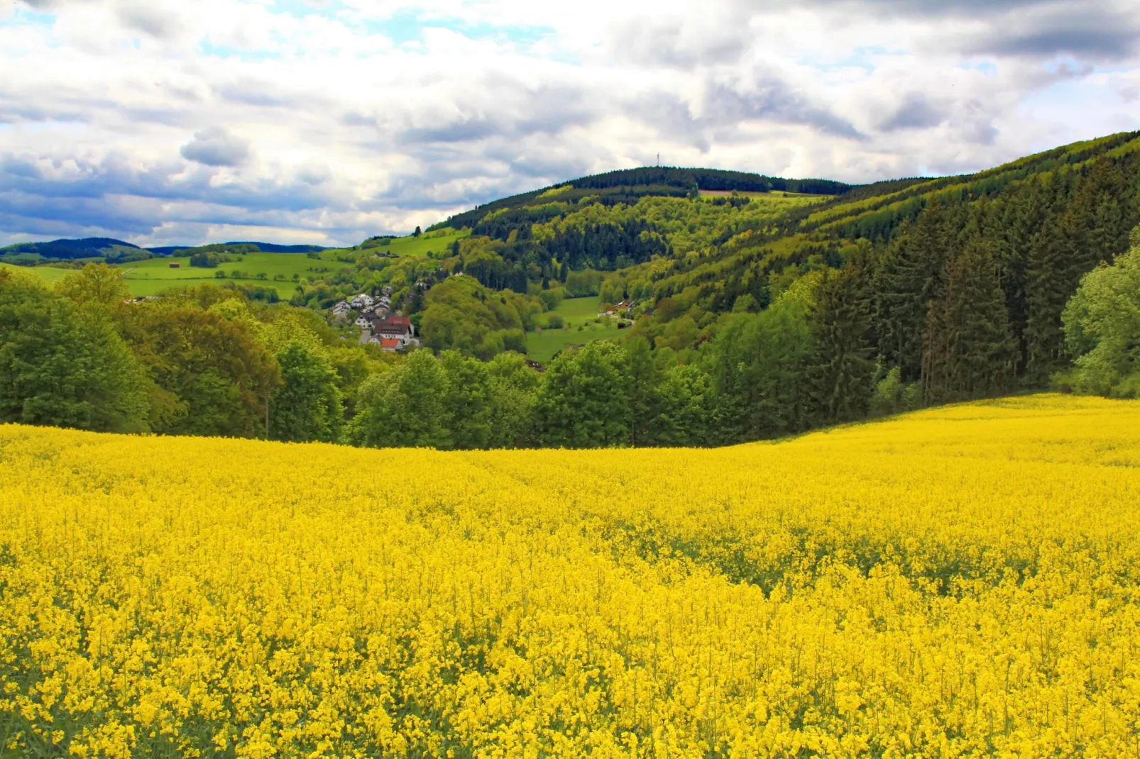 Blokhuis Winterberg Tulp-Areas summer 1km