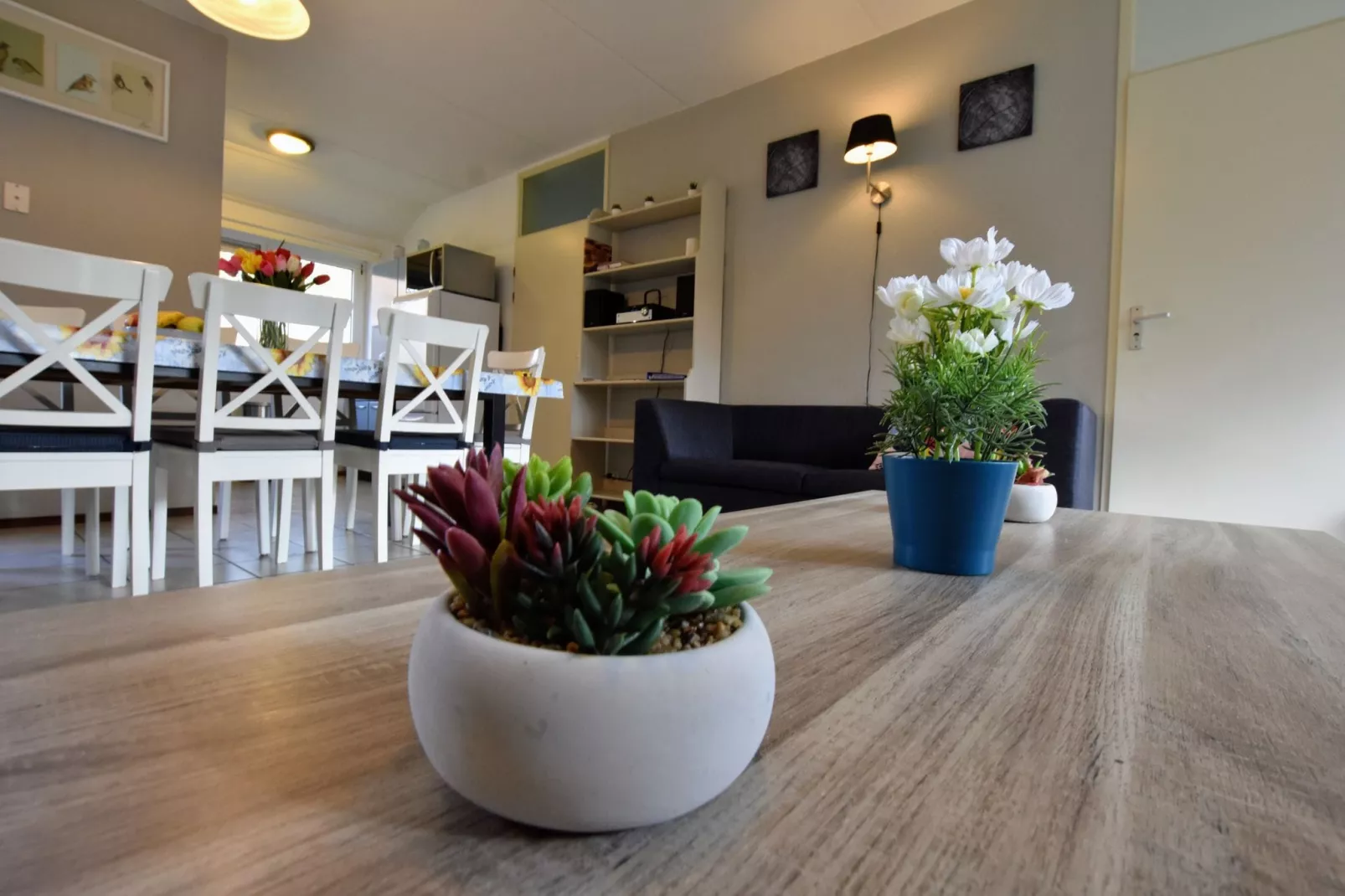 Bungalow Bosrijk-Atmosphere