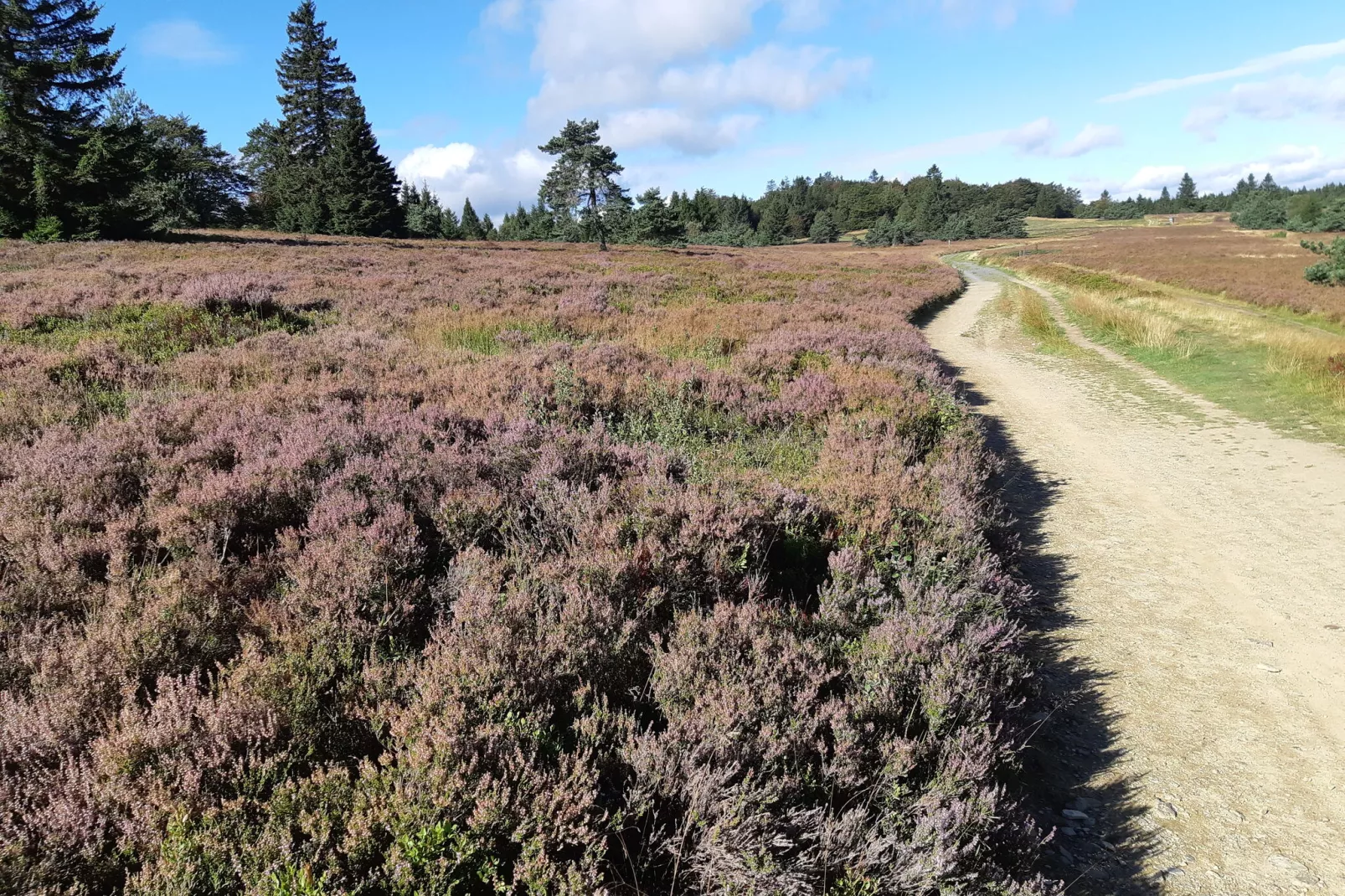 Blokhuis Winterberg Tulp-Areas summer 5km