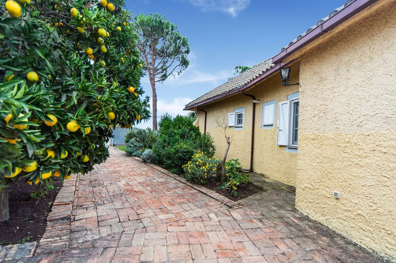 VILLA TADDEI-Extérieur été