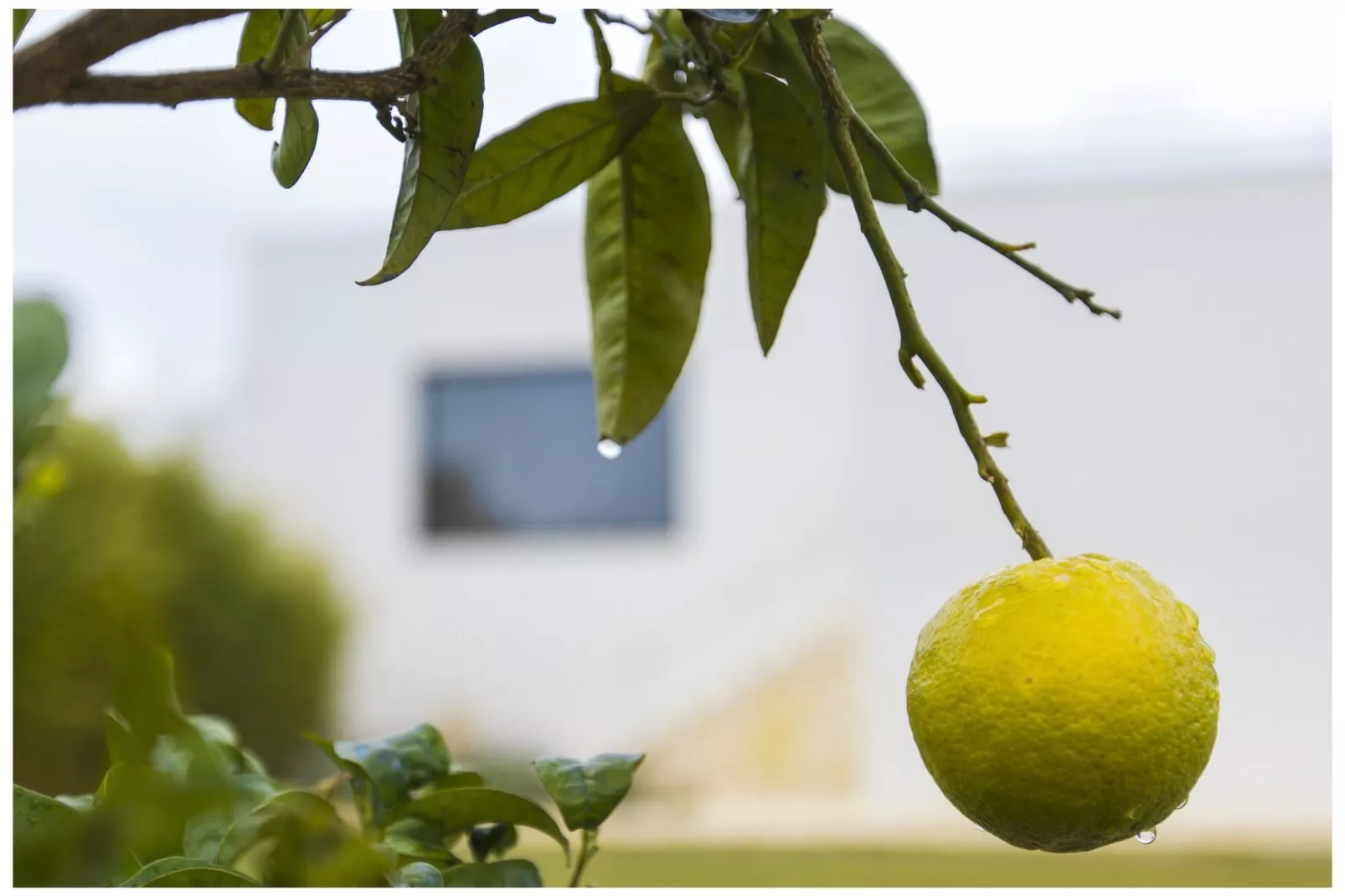 Villa Sant Andreu de Llavaneres-Atmosphere