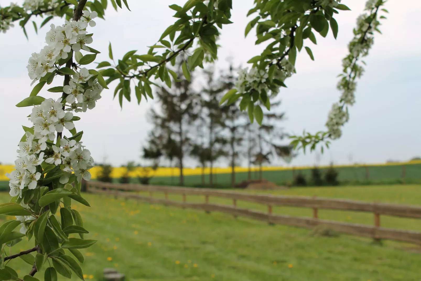 Hohenkirchen mit Garten Terrasse und Strandkorb-Zones d'été à 5 km