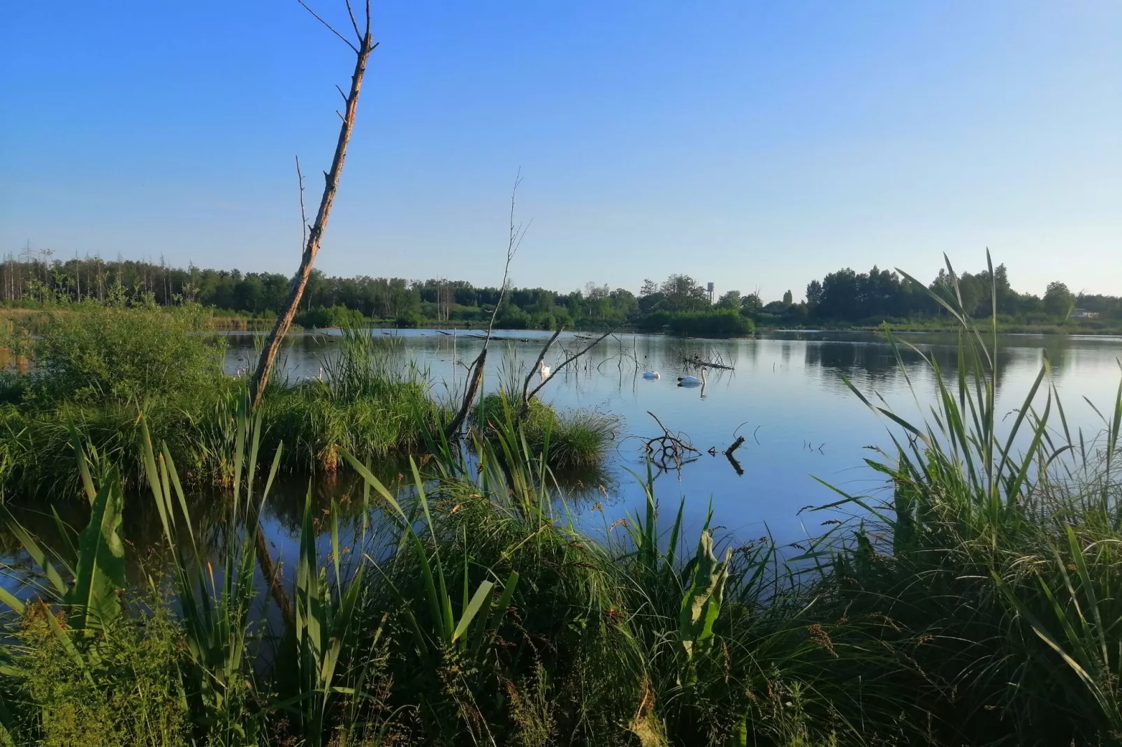 Chatillon 67-Areas summer 5km