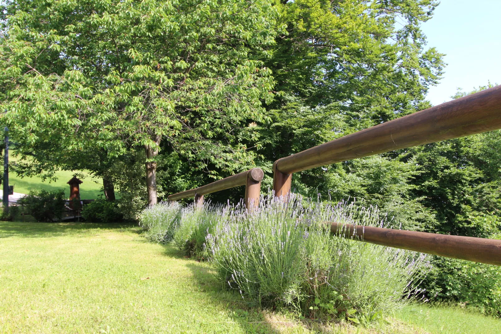 Tonino-Gardens summer