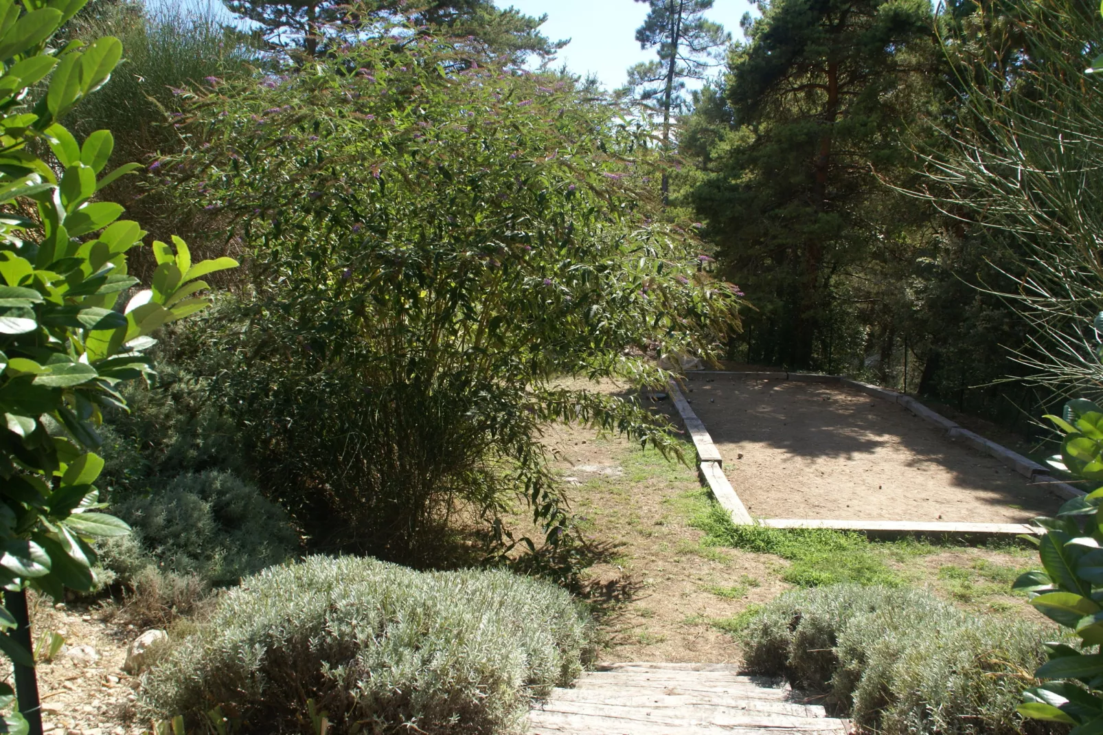 Verdi-Jardins en été