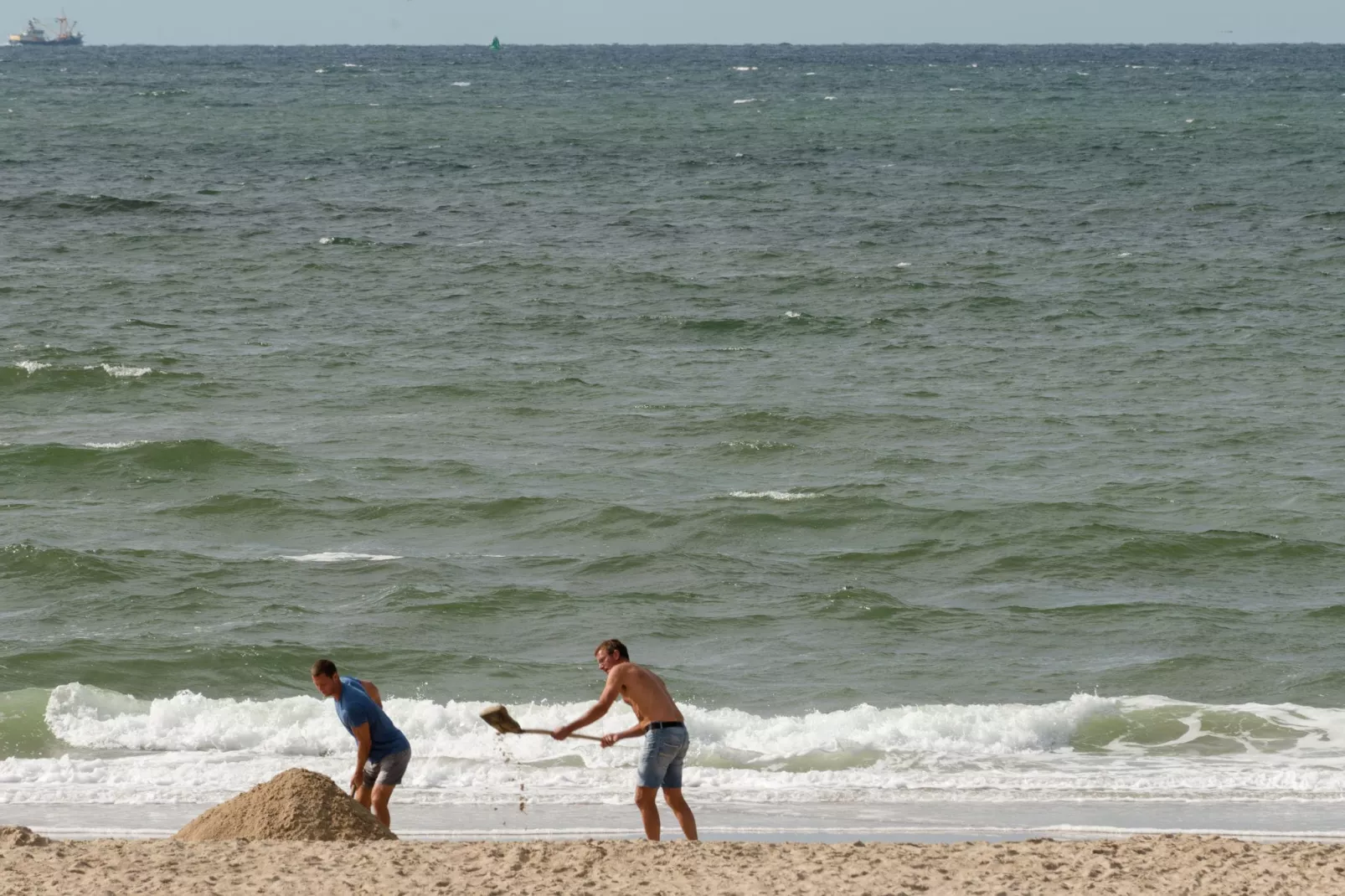 De Strandvogel-Gebiete Sommer 1 km