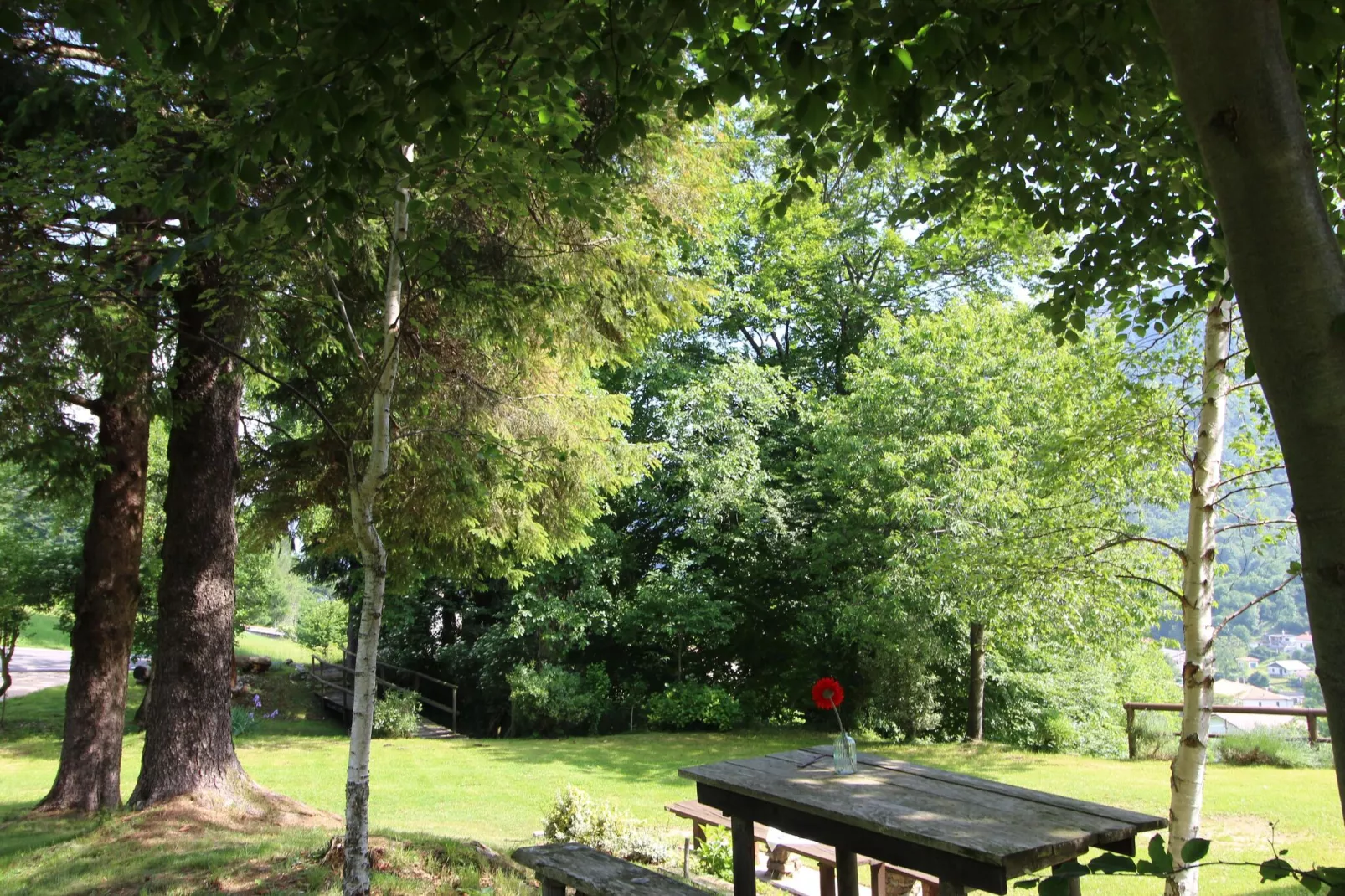 Tonino-Gardens summer