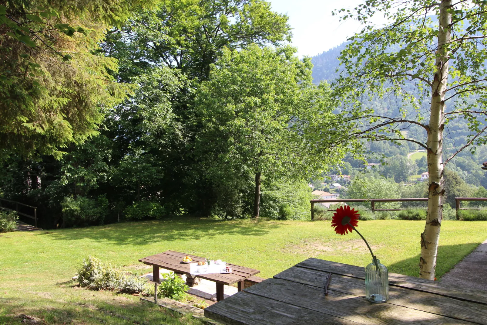 Tonino-Gardens summer