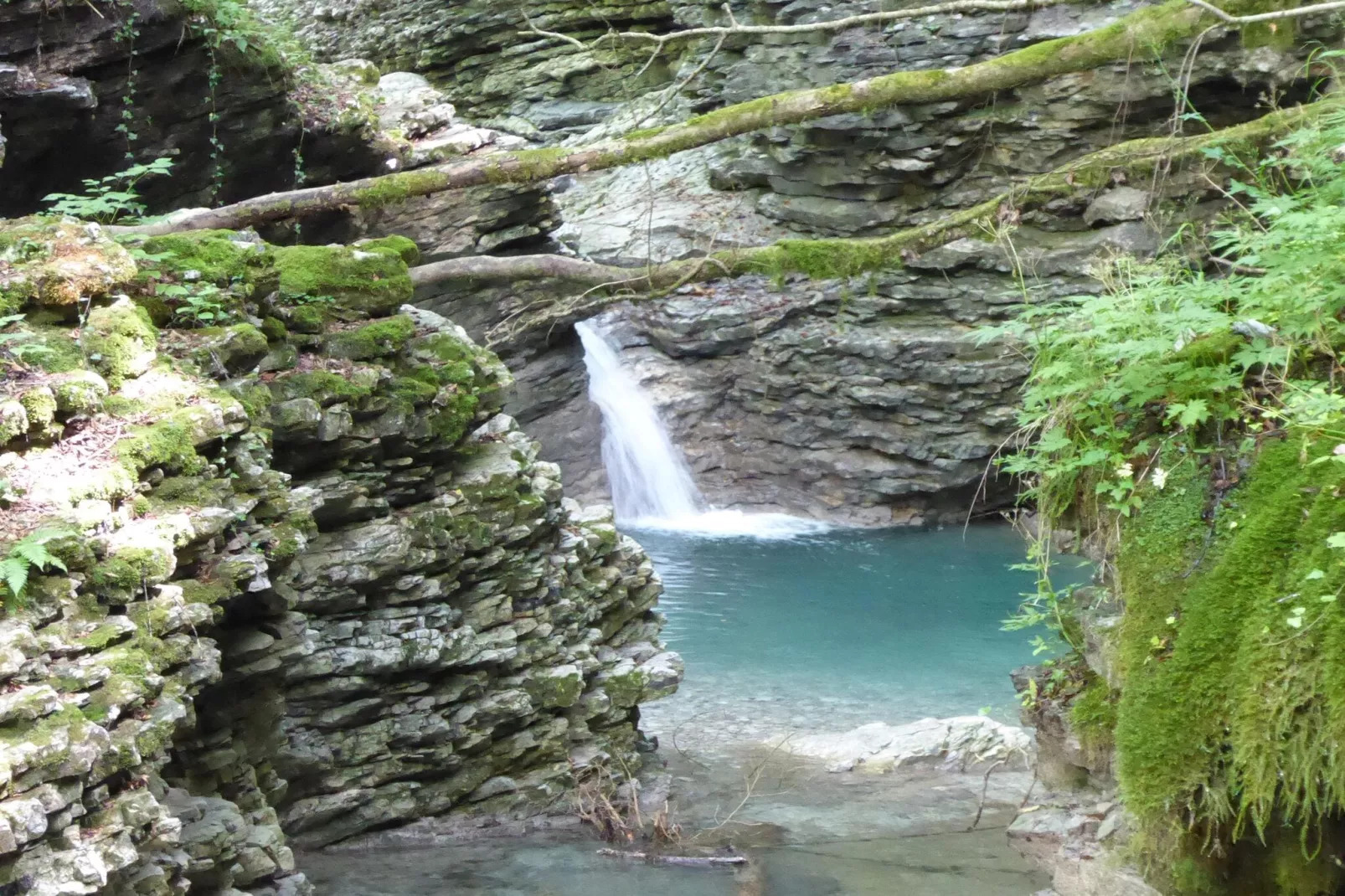 Tonino-Areas summer 20km