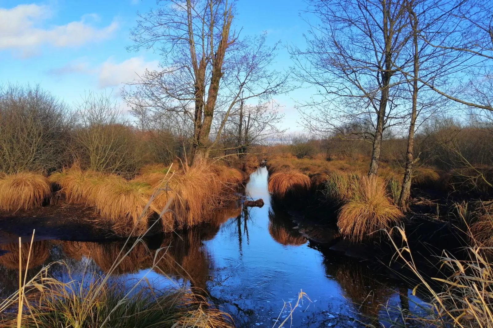 Chatillon 67-Area winter 5km