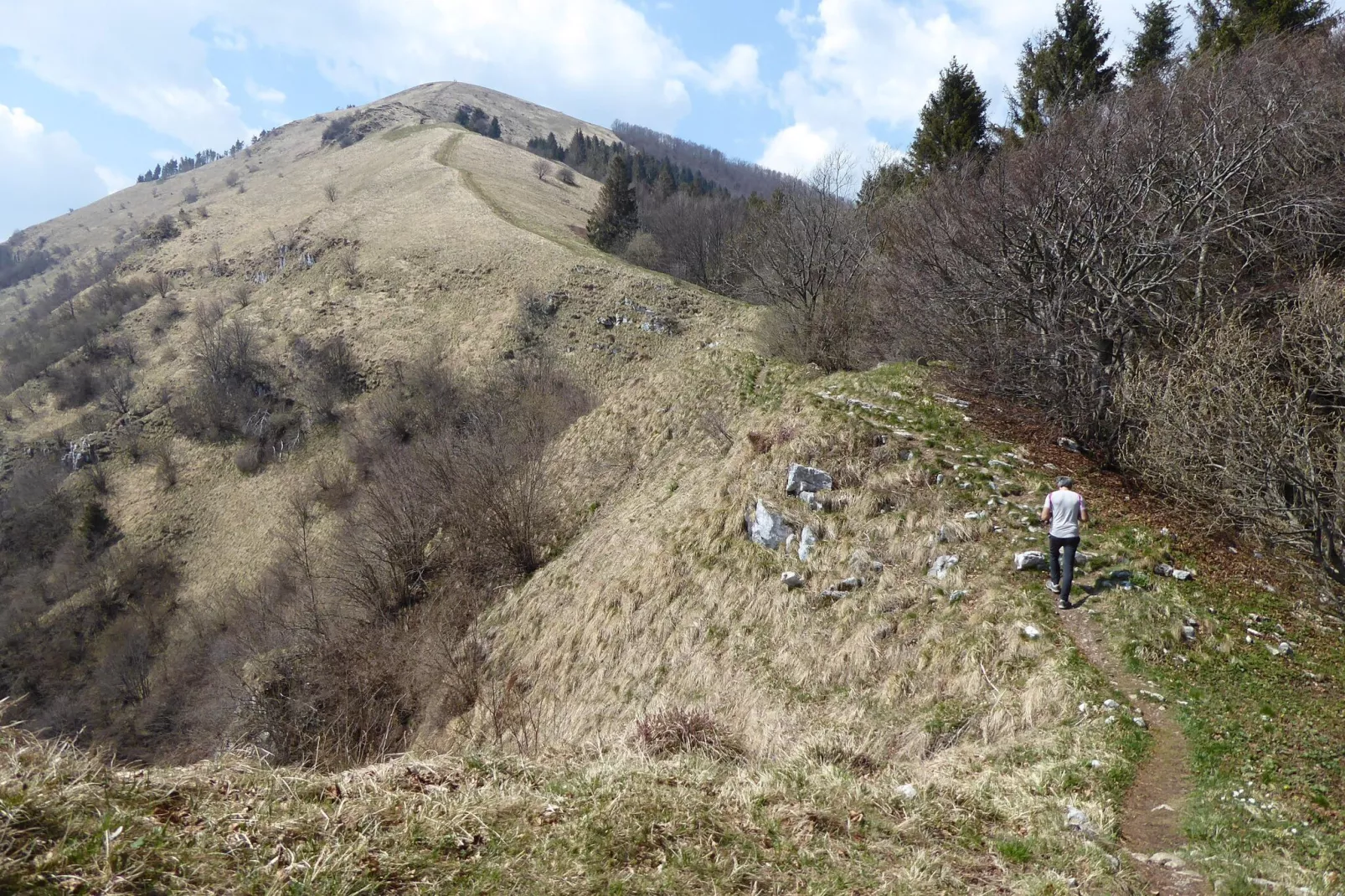 Tonino-Areas summer 20km
