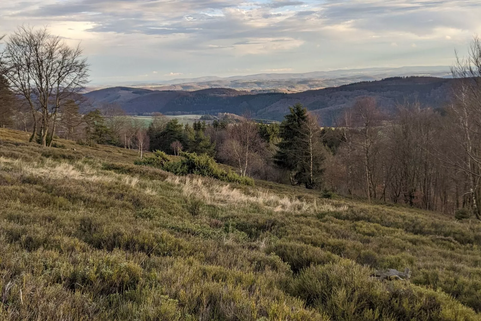 Zum Spitzen Land-View summer