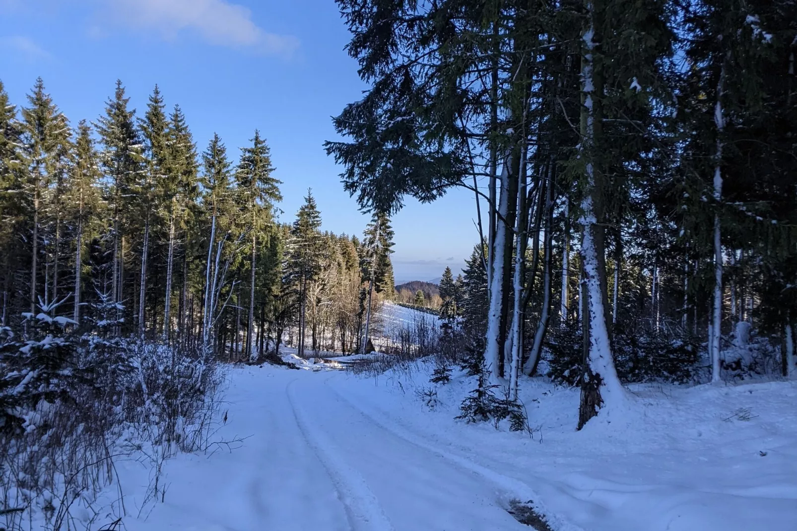 Zum Spitzen Land-View winter