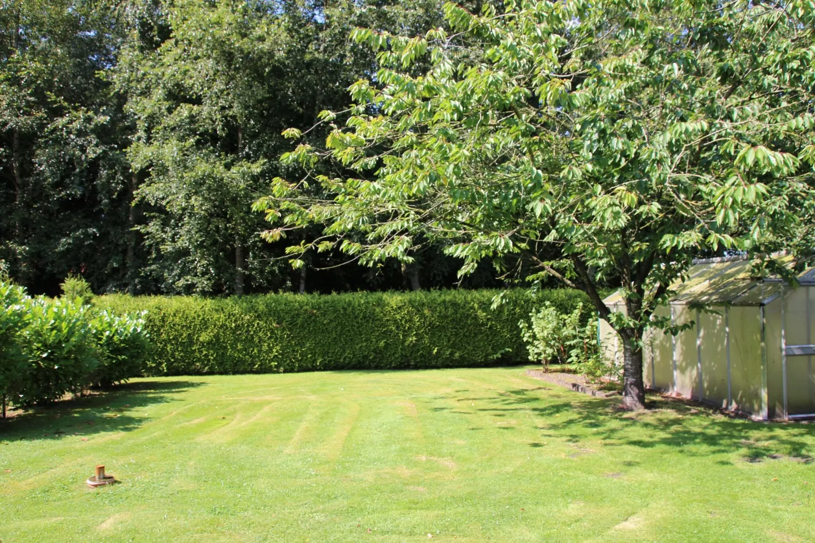 Ferienwohnung Moorhusen-Gardens summer