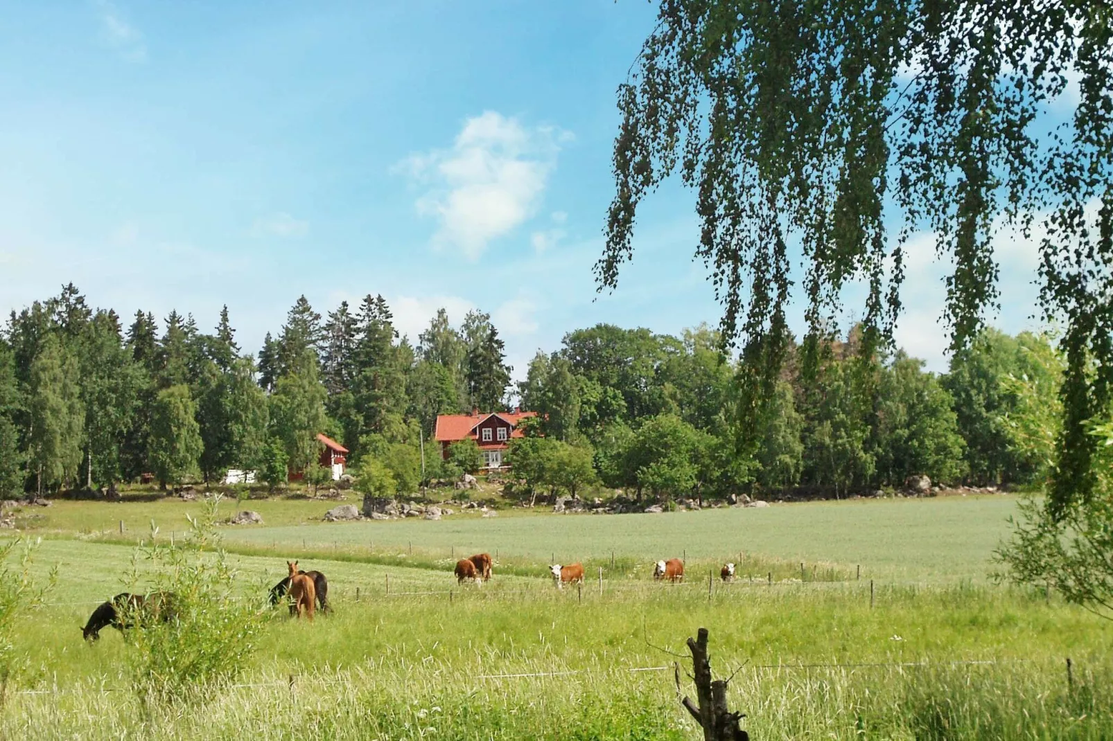 11 person holiday home in STORA SUNDBY-View
