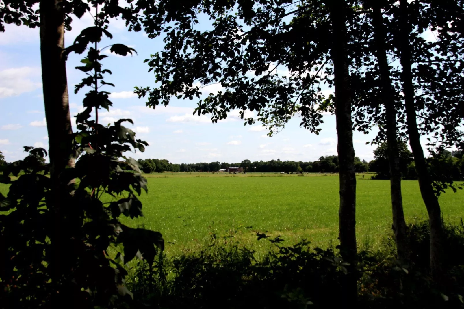Ferienwohnung Moorhusen-View summer