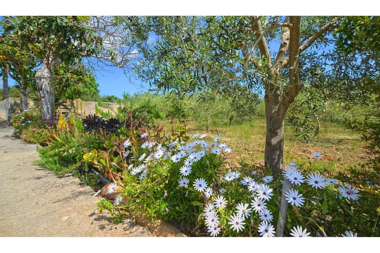 Sa Sini-Gardens summer