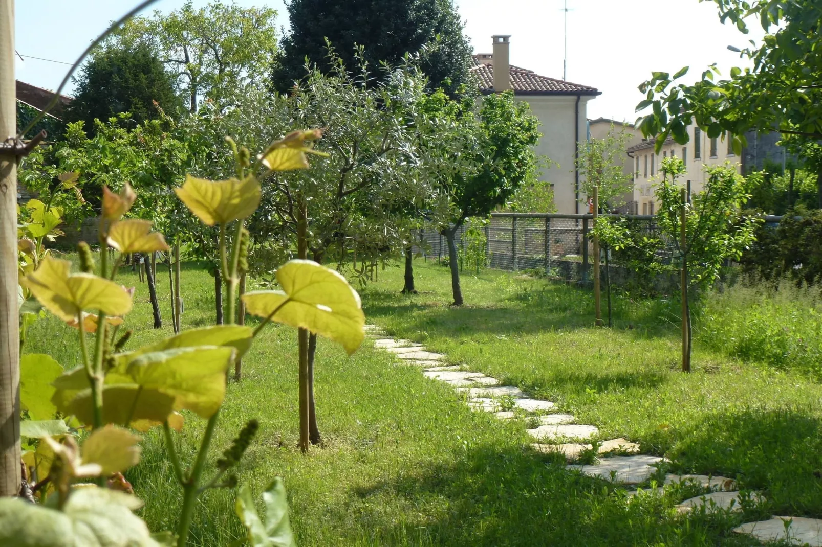 Casa sul Piave-Gardens summer