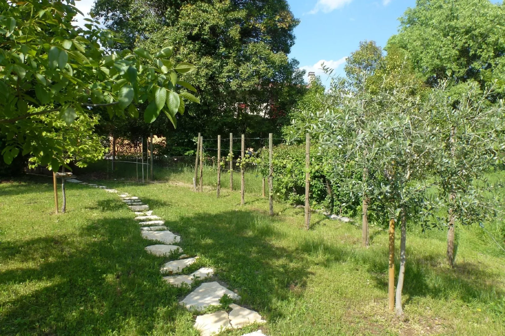 Casa sul Piave-Gardens summer