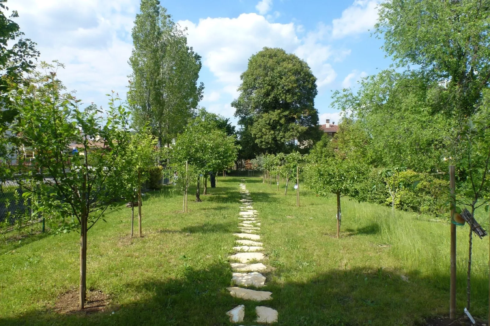 Casa sul Piave-Gardens summer